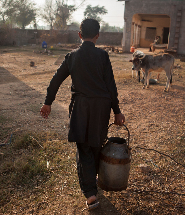 Livelihoods based on a agro-pastoral stand the most at risk in the changing climate of the Hunza